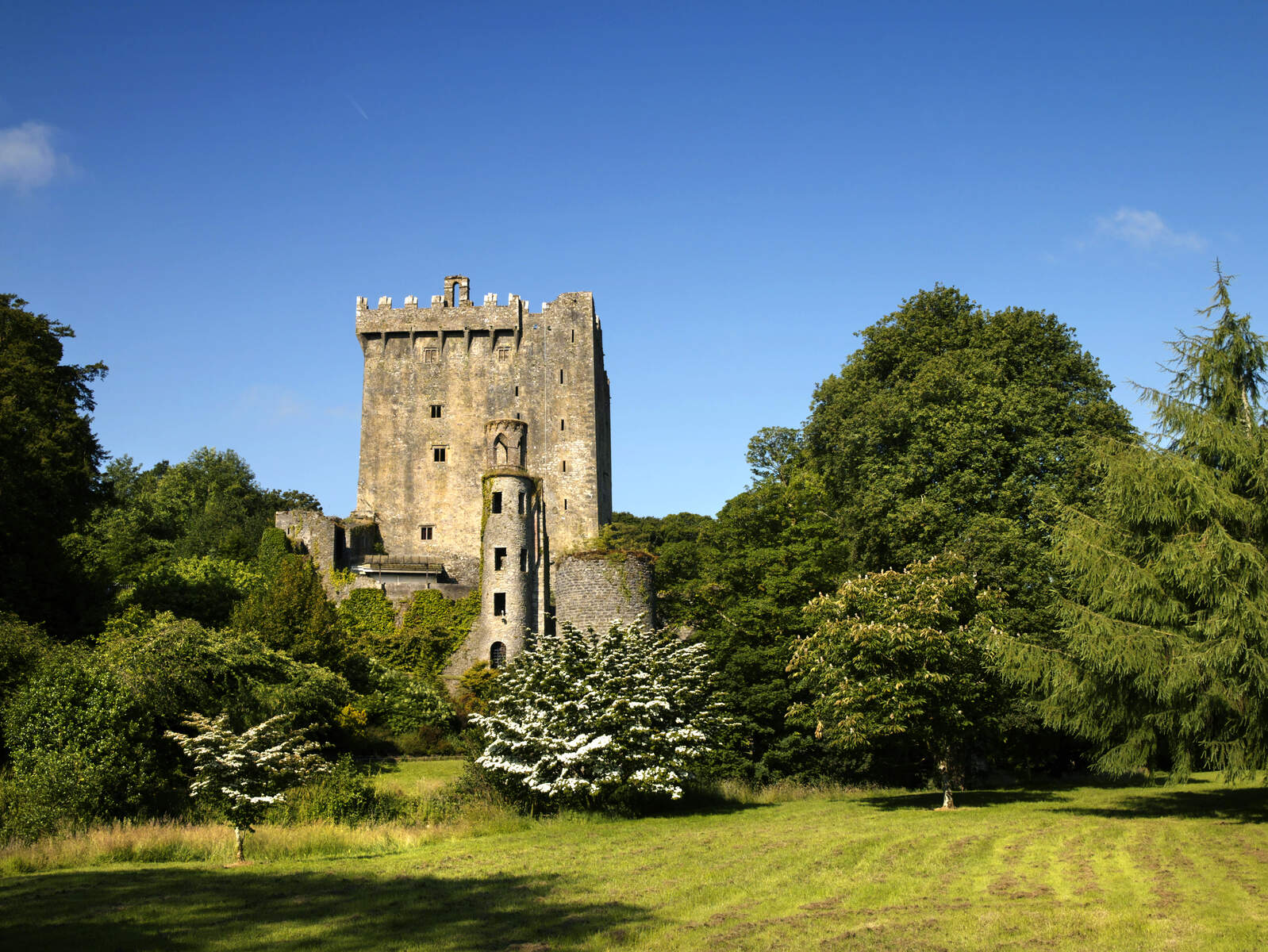 cork-city-blarney-castle