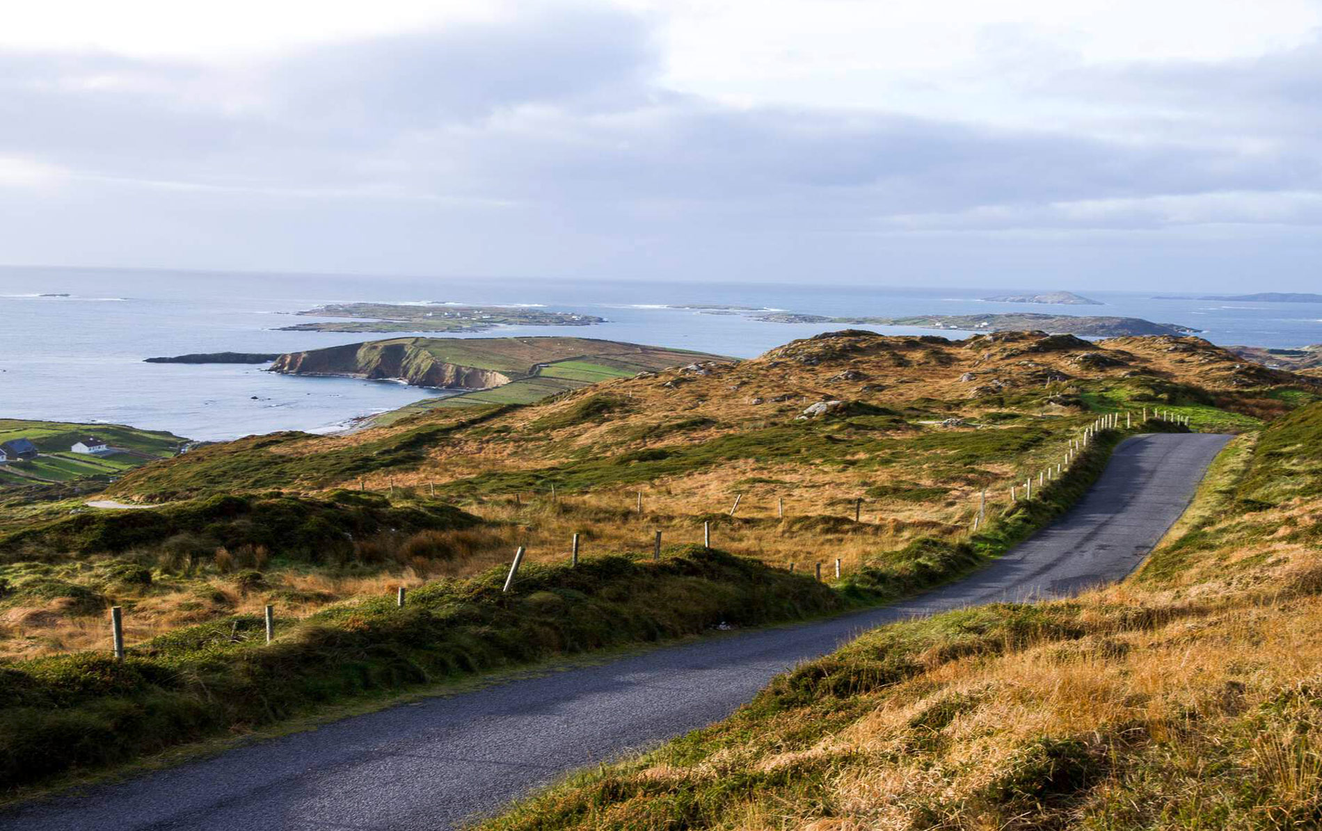 bay-coast-collage-two-clifden