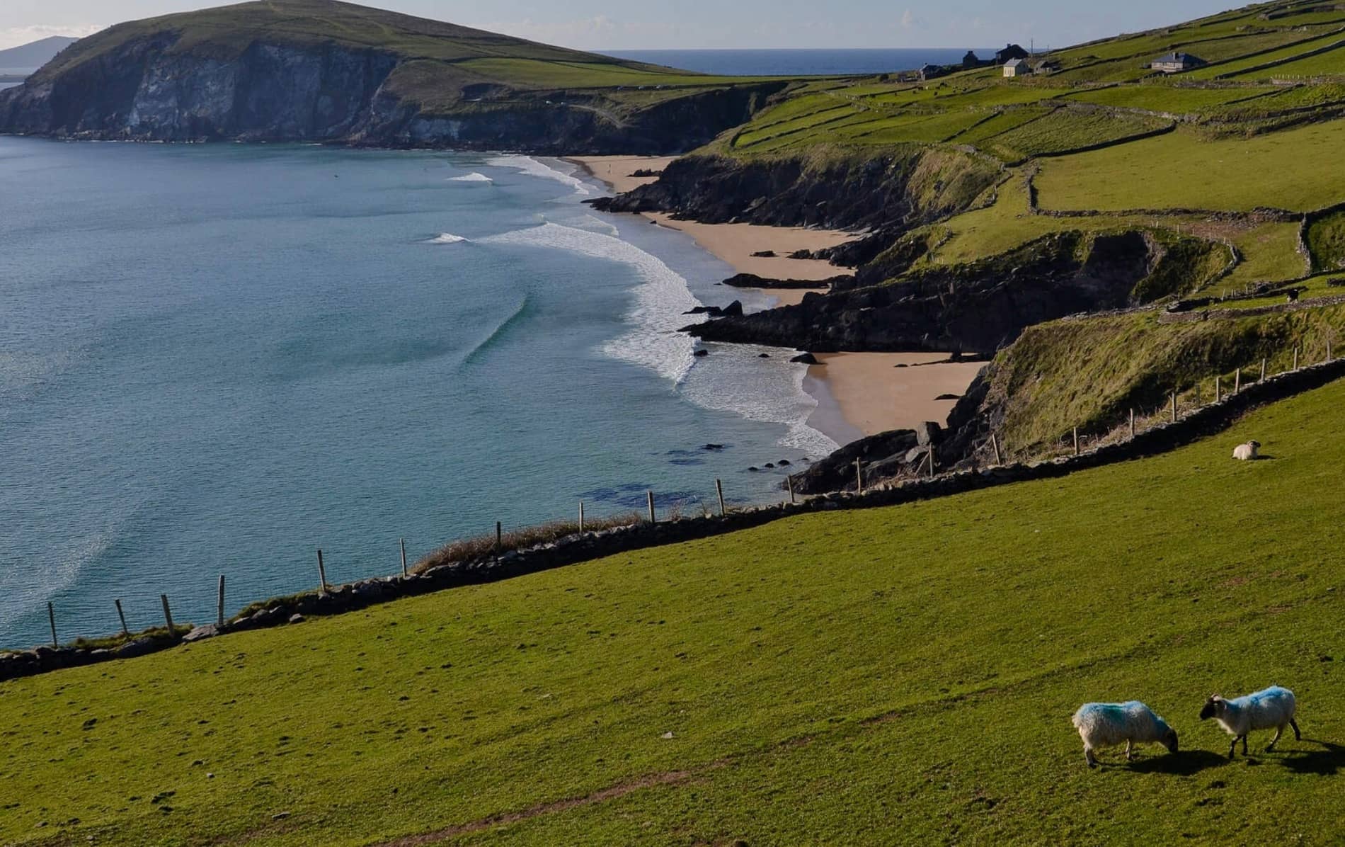2weekcaravantrip-dinglepeninsula
