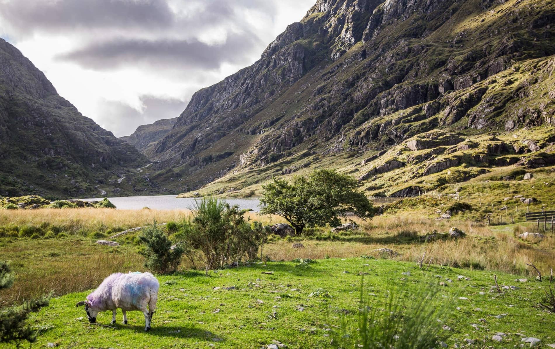 2weekcaravantrip-killarney-day5