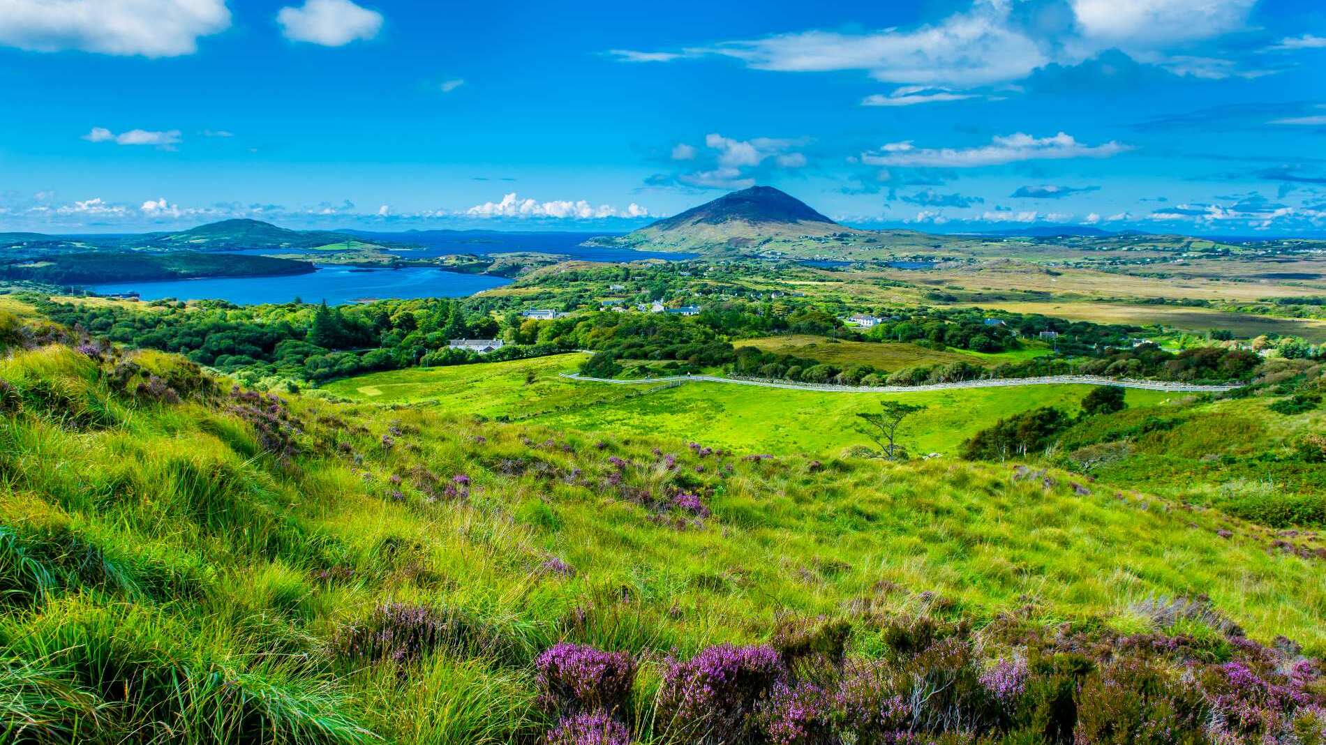Connemara © Shutterstock