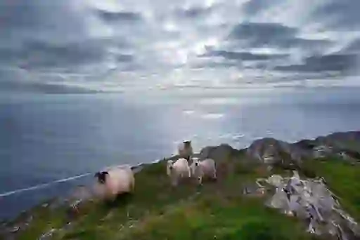 Sheep's Head, County Cork