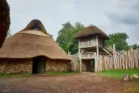 Irish National Heritage Park Co Wexfordwebsize2500x1200px